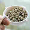 Sorry, Dr. Oz, Green Coffee Can't Even Slim Down Chubby Mice