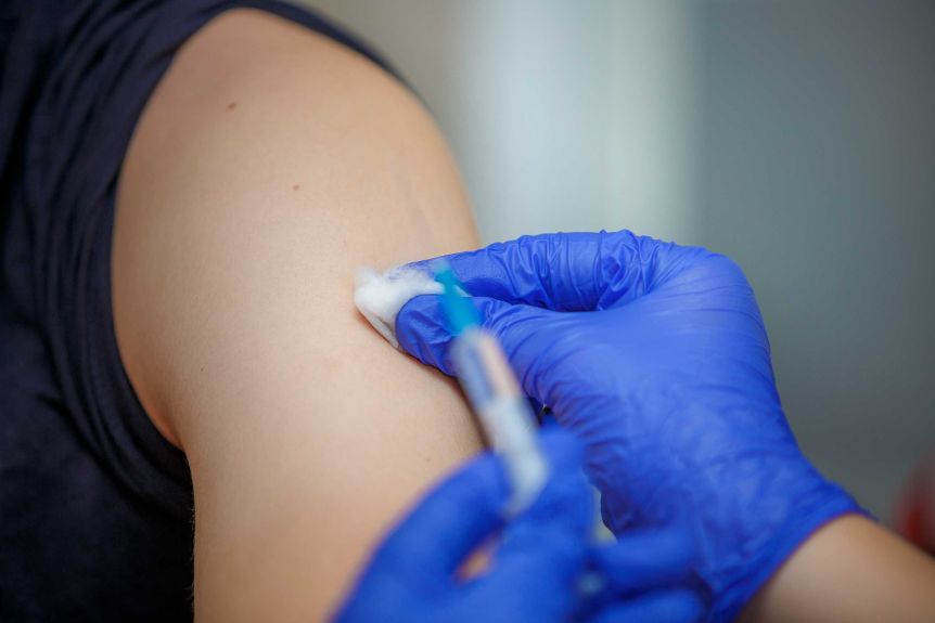 Syringe containing vaccine in the hands of a doctor in blue gloves.