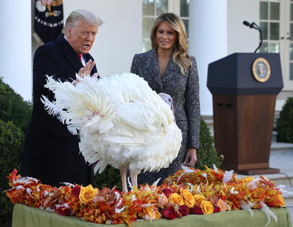 President Trump Pardons National Thanksgiving Turkey At The White House