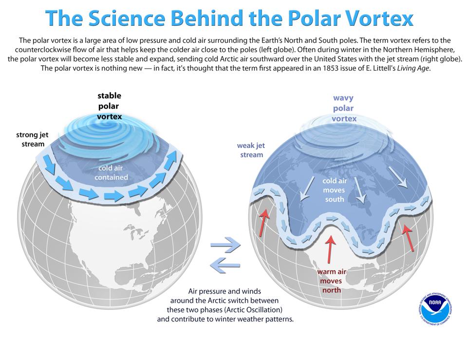 Polar Vortex