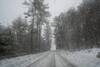 A snow-covered road outside of Oakland, Maine.