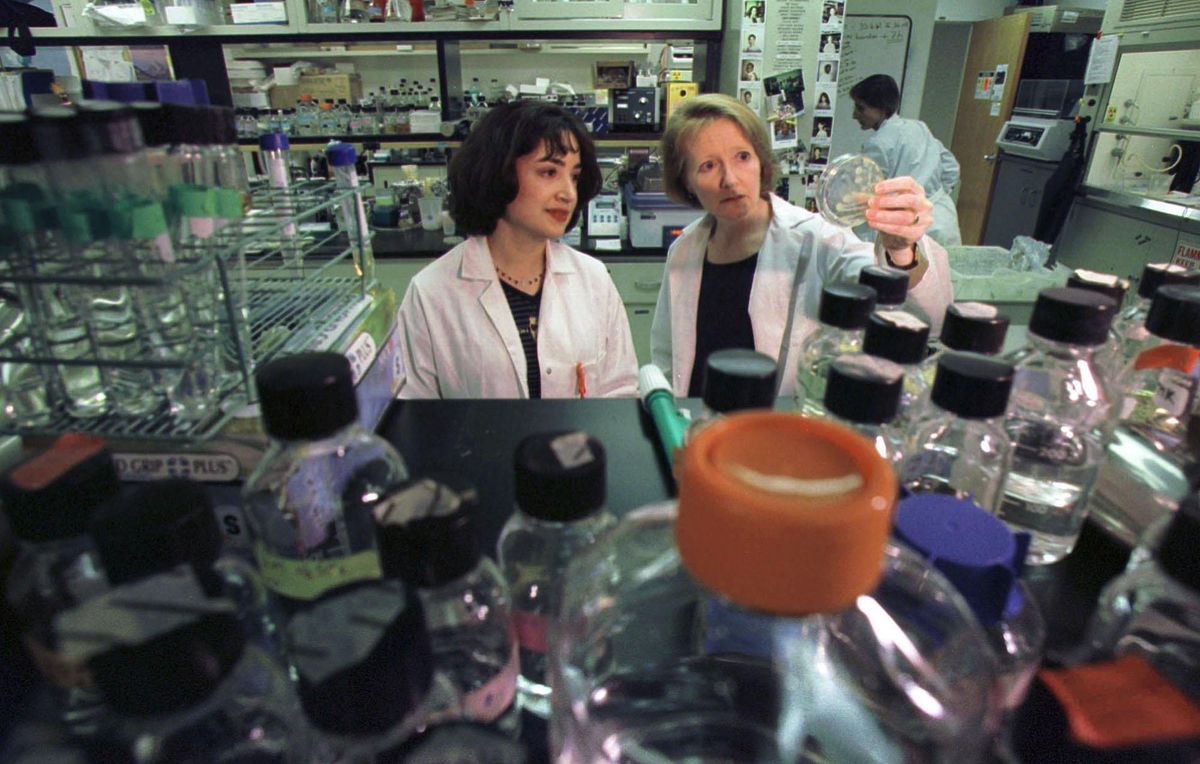 China pushes theory that coronavirus originated in a lab, but says it was from a US bio-weapon lab China pushes theory that coronavirus originated in a lab, but says it was from a US bio-weapon lab