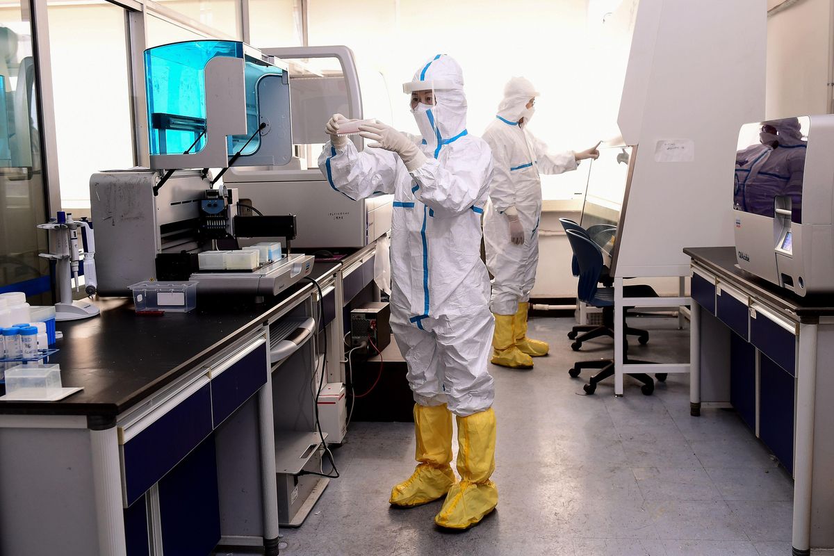 New ‘damning’ report shows COVID-19 likely lab-engineered: ‘Leading theory for the origin of the coronavirus must be laboratory escape’ New ‘damning’ report shows COVID-19 likely lab-engineered: ‘Leading theory for the origin of the coronavirus must be laboratory escape’
