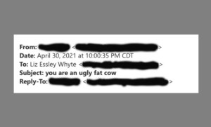 A screenshot of the header of an email sent to reporter Liz Essley Whyte. (Center for Public Integrity)