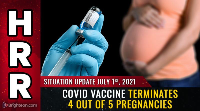 DEPOPULATION ALERT: Shocking new study reveals covid vaccine TERMINATES 4 out of 5 pregnancies via “spontaneous abortions”