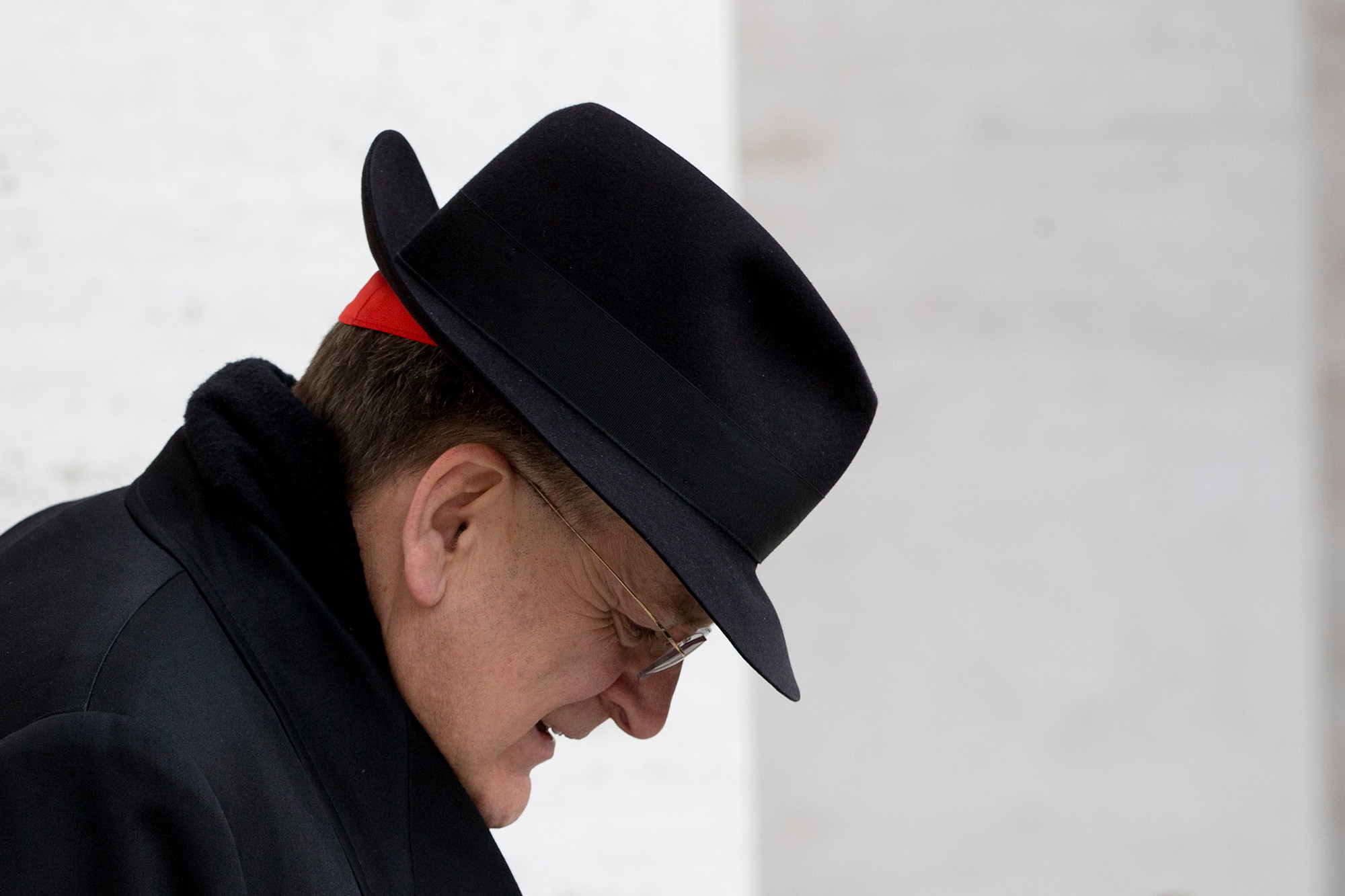 Cardinal Raymond Leo Burke