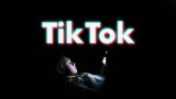 TikTok: Data mining, discrimination and dangerous content on the world's most popular app