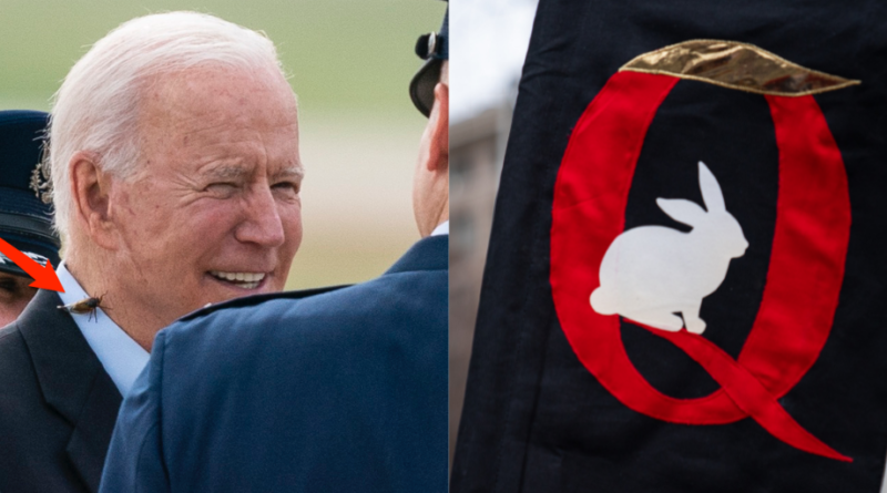 QAnon followers think a cicada landing on Biden may be ‘comms’ from Q