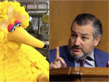 At left, Big Bird in White House handout photo from Feb. 2013. At right, Sen. Ted Cruz questions Attorney General Merrick Garland during a Judiciary Committee hearing on Oct. 27, 2021 (Getty Images)