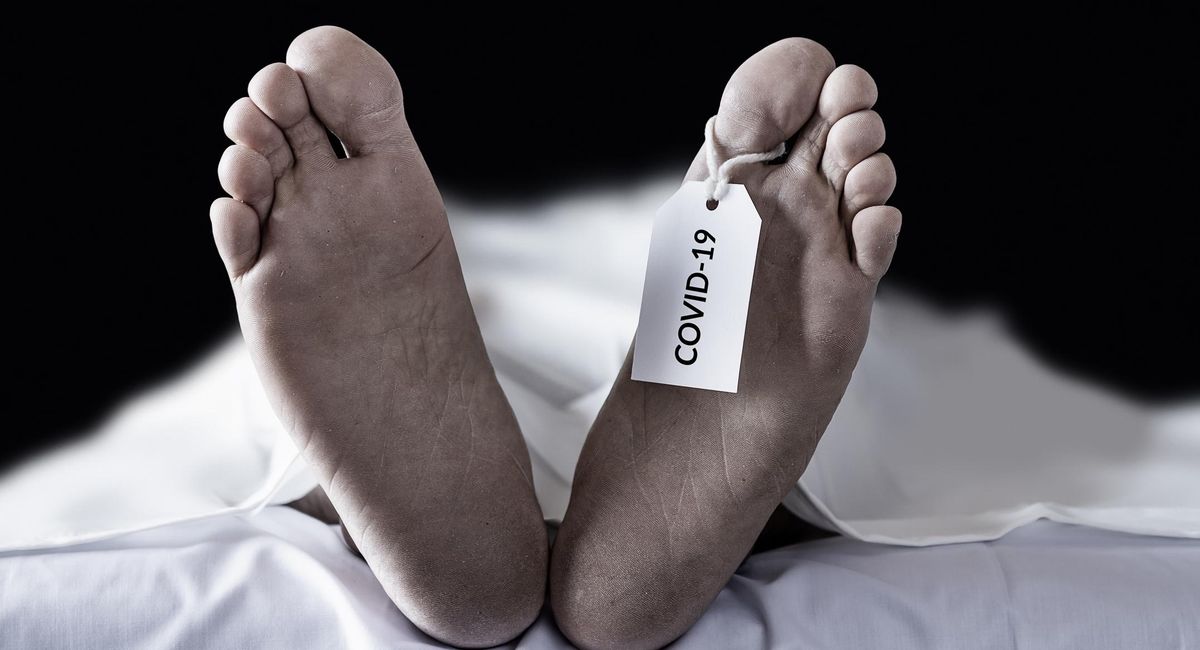 Columnist taken to woodshed for ‘heartless’ idea to mock people who die from COVID after not getting vaccine Columnist taken to woodshed for ‘heartless’ idea to mock people who die from COVID after not getting vaccine