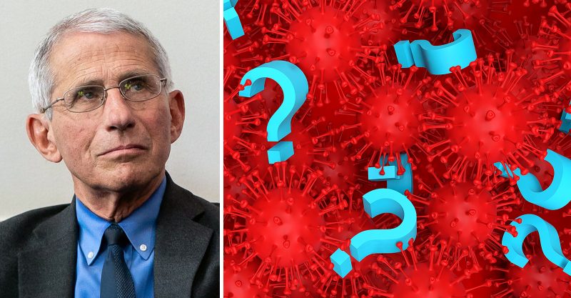 What Did Fauci Know . . . and When Did He Know It?