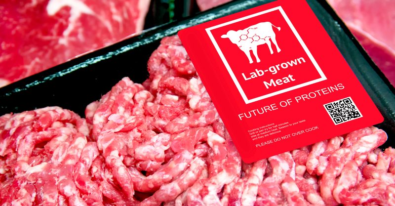 The cultured meat industry has a “bloody secret” that could prevent it from ever becoming a market reality.