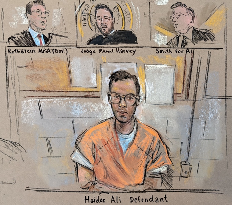 Haider Ali appeared virtually before Judge Michael Harvey on April 8, 2022.