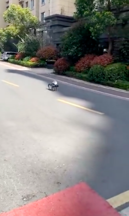 Shanghai Is Flying Drones Over Districts to Tell Citizens Under Lockdown to ‘Curb Your Soul’s Desire for Freedom’ and Comply with COVID-19 Restrictions Shanghai Is Flying Drones Over Districts to Tell Citizens Under Lockdown to ‘Curb Your Soul’s Desire for Freedom’ and Comply with COVID-19 Restrictions