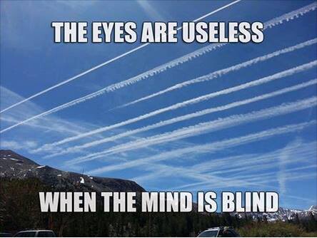 Meme insulting chemtrails skeptics