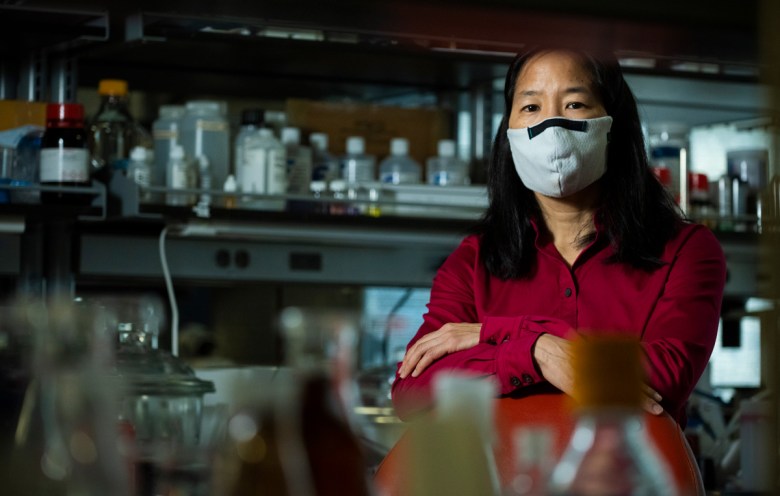 A woman of Asian descent wearing a gray face mask and a maroon shirt stands with her forearms resting on the back of a chair in a laboratory, surrounded by bottles and other containers.