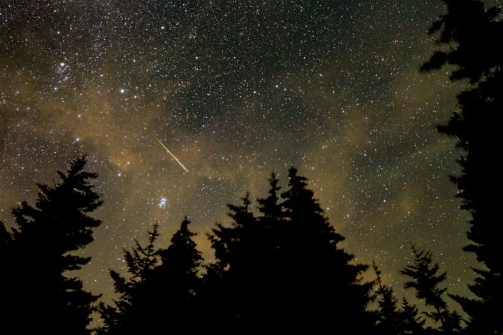 Perseid Meteor Shower