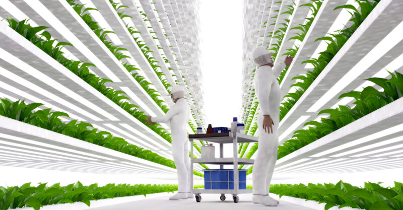 vertical farm food system feature