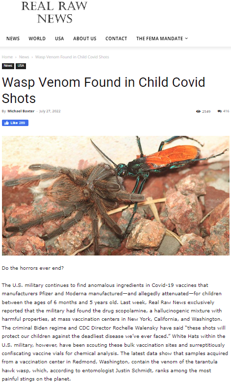 Wasp.png