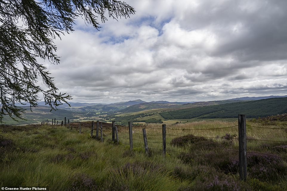 This is the exact spot today where the hidden photograph was taken by two hotel chefs  while hiking in the Scottish glen in 1990