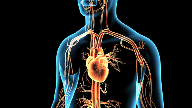 Image: Study finds 29% of teenagers develop heart problems following second dose of Pfizer’s mRNA COVID-19 vaccine