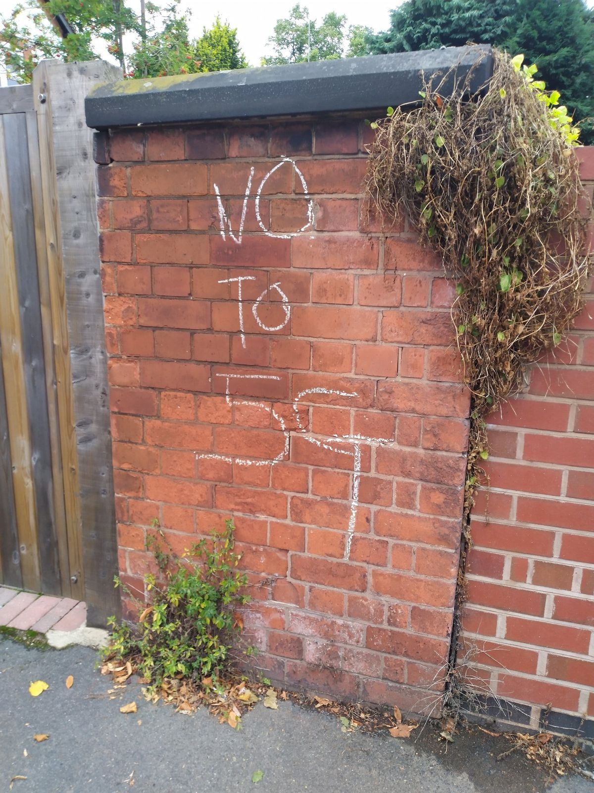 Anti-vax graffiti has been sprayed onto walls on Park Avenue, near to West Park. Photo: Councillor Craig Collingswood