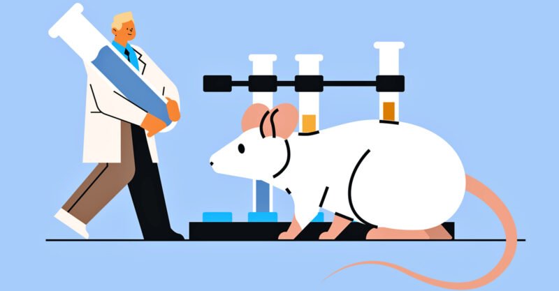 pfizer bivalent vaccine mice feature