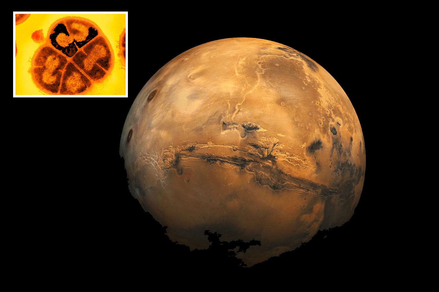 'Breakthrough' in hunt for life on Mars as scientists make important discovery