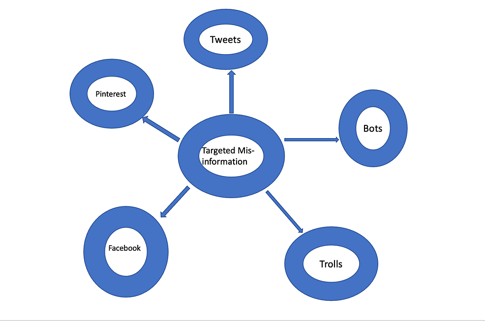 Targeted-misinformation-towards-females,-youths,-lower-income-populations,-and-disparity-population