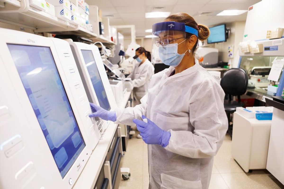 New deadly COVID strain created by Boston University scientists killed 80% of lab mice New deadly COVID strain created by Boston University scientists killed 80% of lab mice