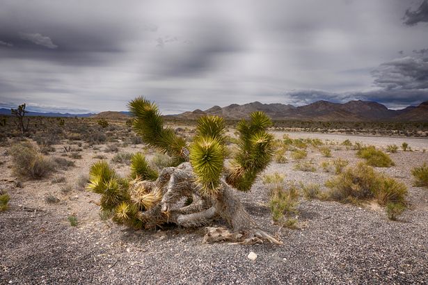The ex-agent said he was taken out to the infamous alien hotspot of Area 51