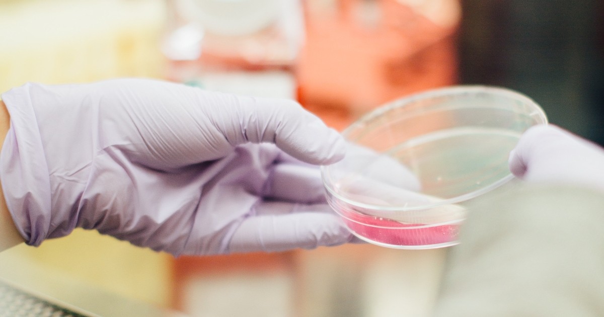 Mice study didn’t show flu vaccine causes strep A Mice study didn’t show flu vaccine causes strep A