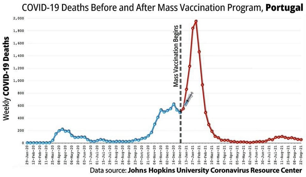 7 covid deaths mass vaccination portugal