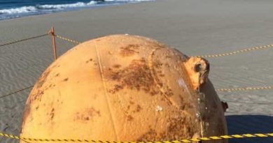 Dragon Ball, UFO, or buoy? Unidentified large ball on Japan coast causes concern | Mint - Mint