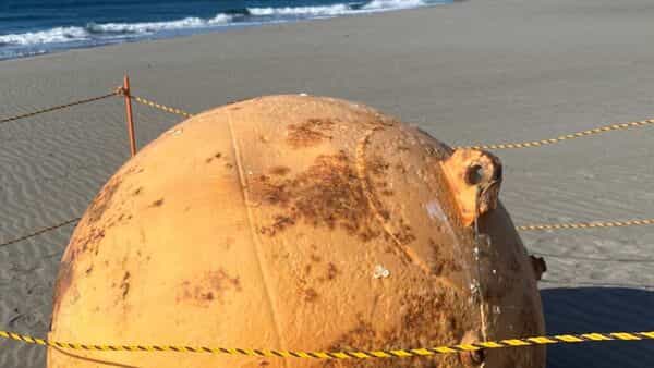 Dragon Ball, UFO, or buoy? Unidentified large ball on Japan coast causes concern | Mint - Mint