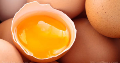 Egg shortage and inflation strangely timed with revelation that yolks naturally mitigate covid "vaccine" spike proteins