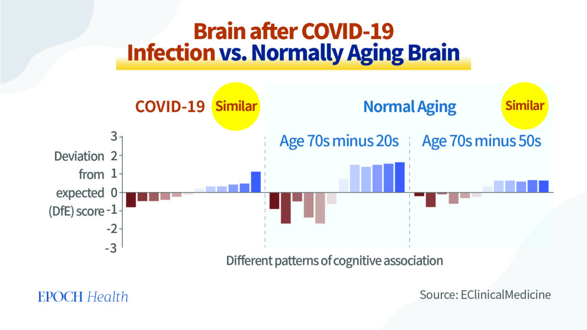 How COVID-19 Accelerates Brain Aging and 1 Way to Protect Yourself How COVID-19 Accelerates Brain Aging and 1 Way to Protect Yourself