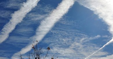 Scientists Just Say No to ‘Chemtrails’ Conspiracy Theory - The New York Times