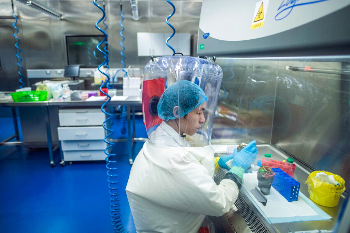 Senators Call for Declassifying Assessment That COVID-19 Likely Came From Chinese Lab Senators Call for Declassifying Assessment That COVID-19 Likely Came From Chinese Lab
