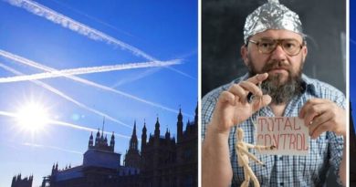 Bank Holiday weather leads to bizarre chemtrail theories 'Look up' - Express