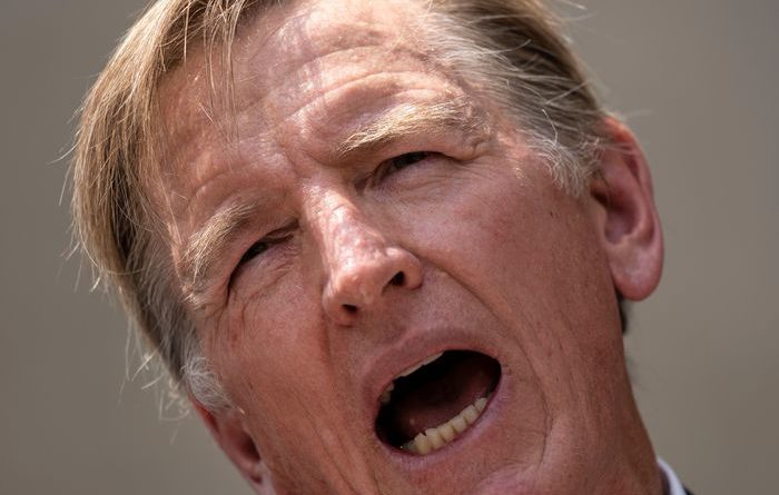 Gosar the MAGA Dentist Promotes Fluoride Conspiracy Theories - New York Magazine