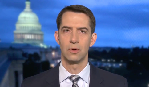 Image: Sen. Tom Cotton says China destroyed evidence about covid lab leak to bury “smoking gun”