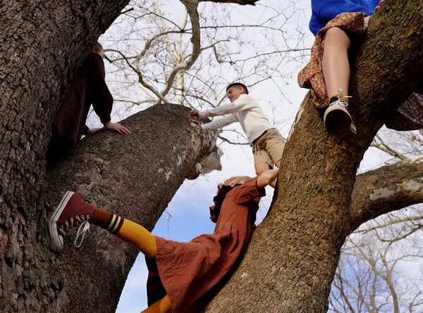 When 4 Photographers Looked Up, This Is What They Saw - The New York Times