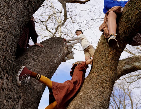 Four people climb a tree.