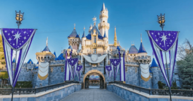 "Whistleblowers" Accuse Disneyland of Mind Control - Inside the Magic
