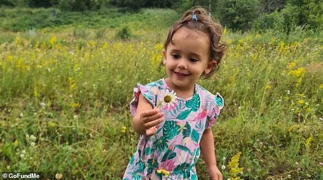 A Brisbane family has been stunned by the sudden death of their two-year-old daughter Nicole (pictured) from Strep A, a virus that is sweeping the country