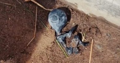 'Goblin alien' dies in sleepy village street during terrifying invasion from UFO - Daily Star
