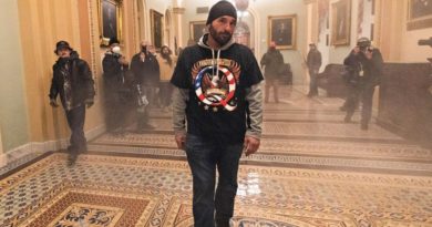 Jan. 6 mob 'ringleader,' QAnon follower sentenced in Capitol attack - ABC News