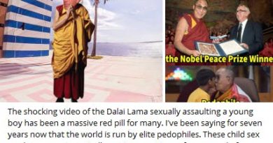 ‘Massive red pill’: QAnon influencers think Dalia Lama video will convince the world elite pedophiles are real - The Daily Dot