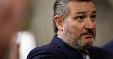 Ted Cruz Pleaded With Fox To Show ‘Specific Evidence’ of Fraud - Rolling Stone